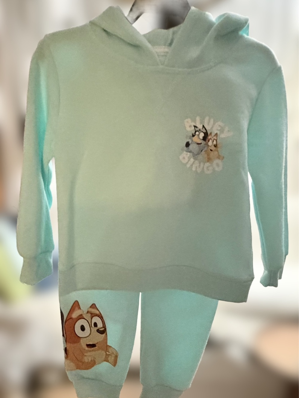 NEW Bluey 2pc Sweats Hoodie Sweatshirt & Cargo Style Joggers Bluey & Bingo 2T